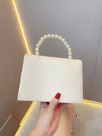Women's Fashion Pleated Evening Bag