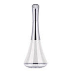 Small top facial beauty instrument